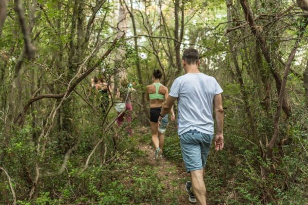 forest-hike-explore